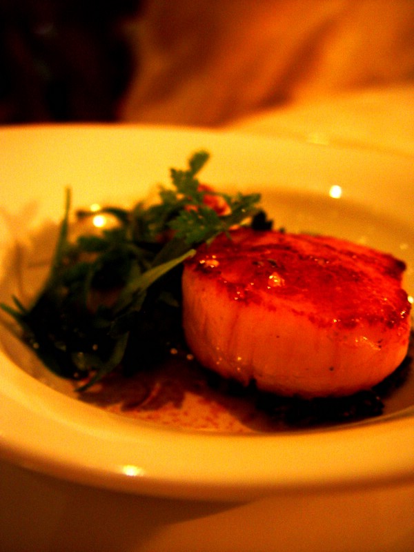 19-scallop.jpg