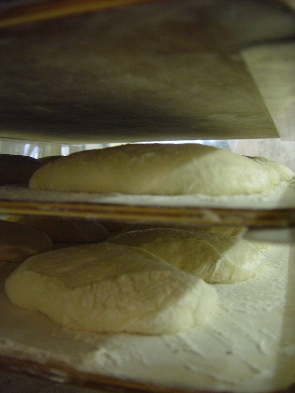 19-Dough Rising.jpg