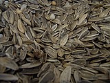 22-more sunflower seeds.jpg