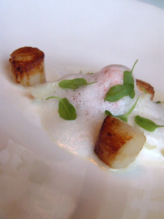 29 langoustine and scallops.jpg