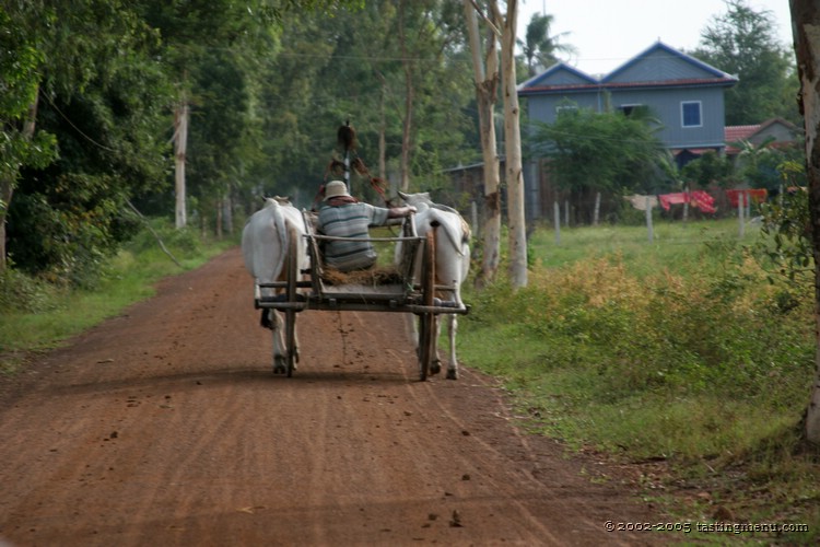 20051207-phnompenh 281.jpg